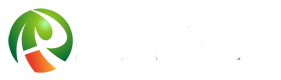 宏圖